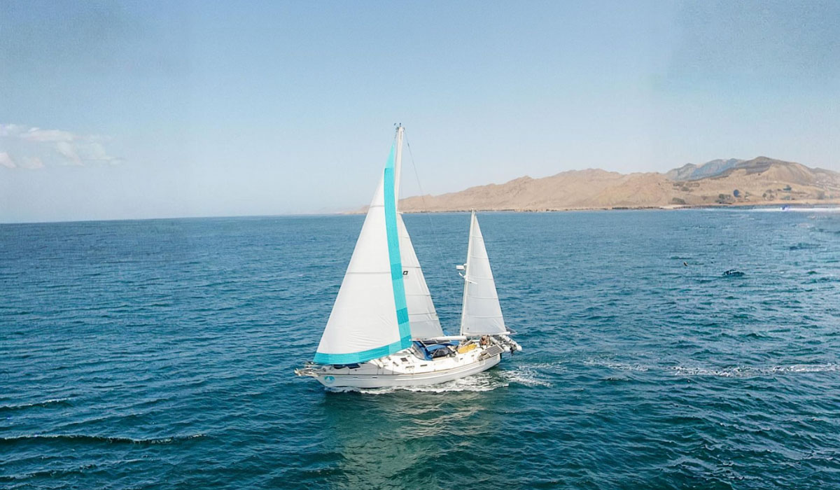 Sailing-Catalpa-Pearson-530