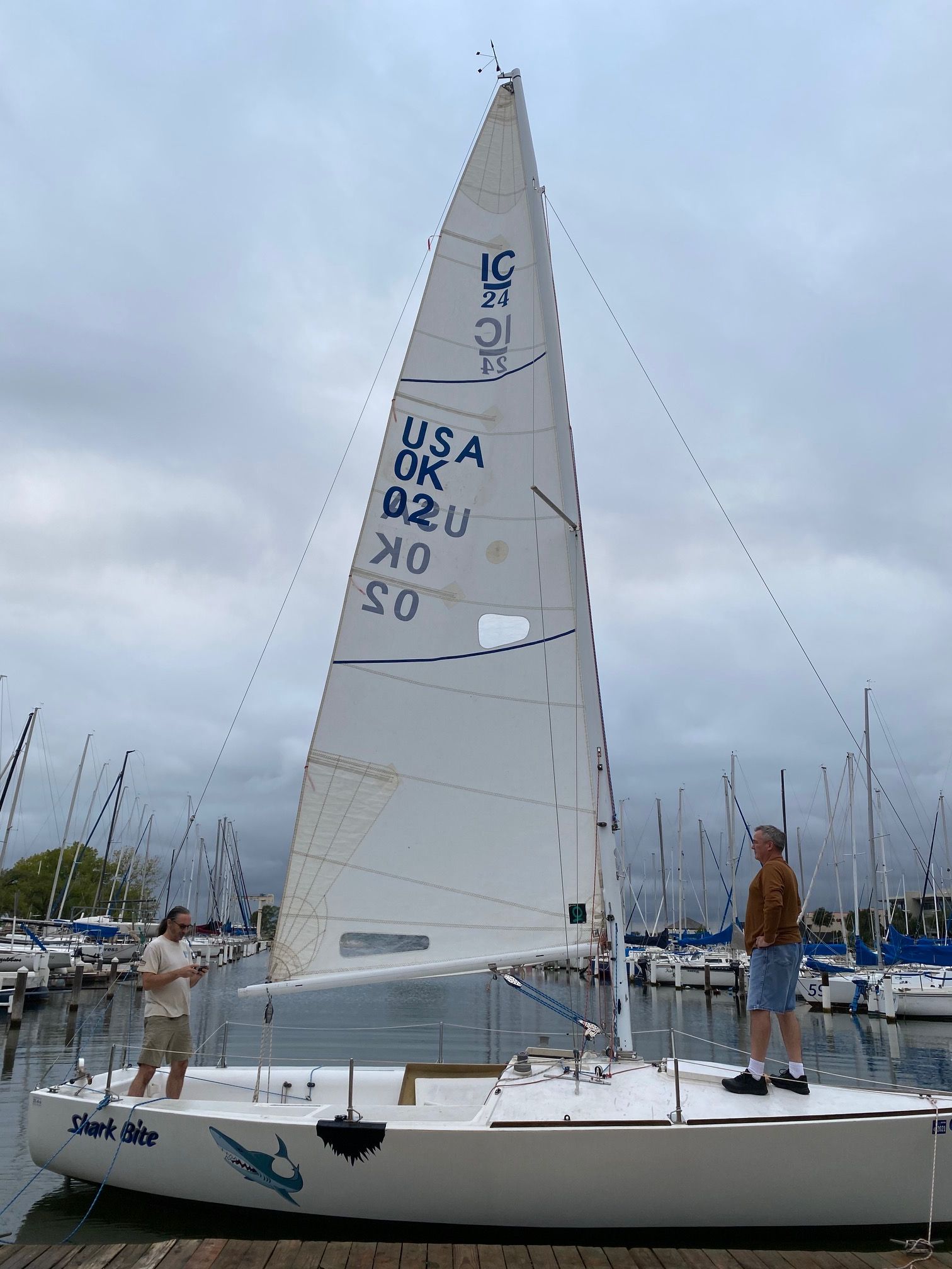 j24 sailboat new